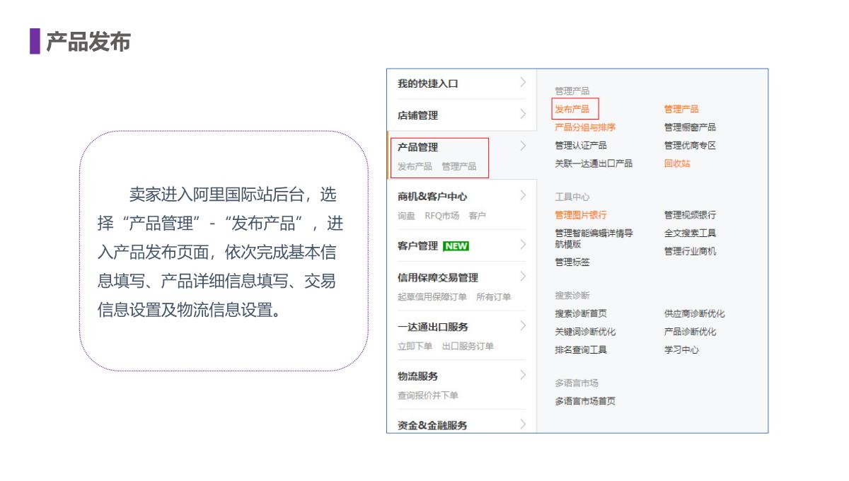 跨境电子商务产品发布PPT模板_04