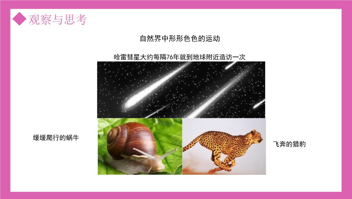 部编版八年级物理上册第一单元机械运动测量运动的描述课件PPT模板_04