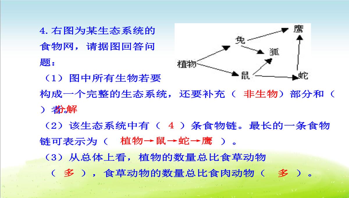 初中生物七上《2.2第二节-生物与环境组成生态系统》优质课件(两套)PPT模板_49