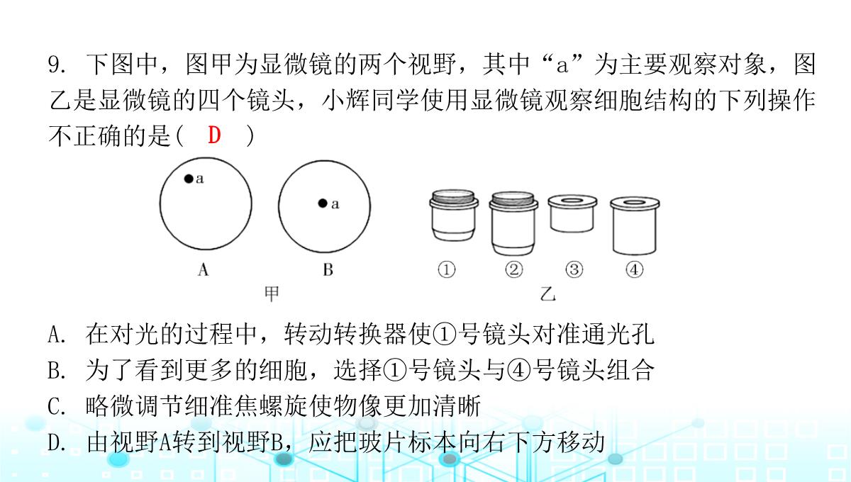 最新人教版七年级上册生物第二单元第1章细胞是生命活动的基本单位第1节练习使用显微镜PPT模板_11