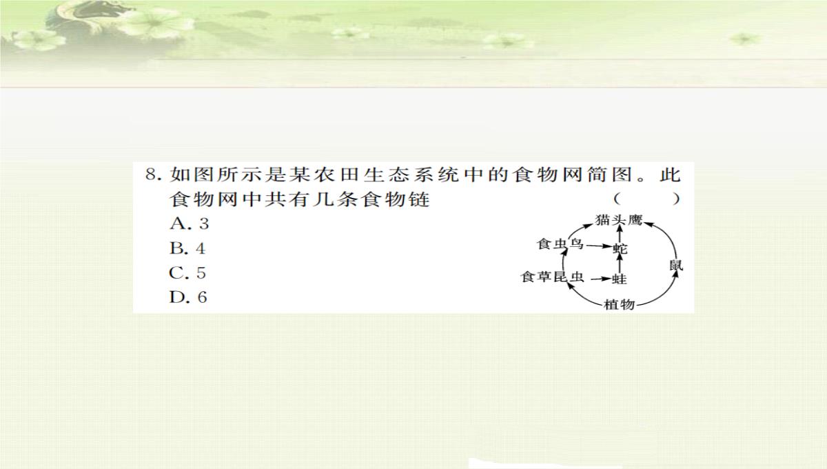 初中生物七上《2.2第二节-生物与环境组成生态系统》优质课件(两套)PPT模板_58