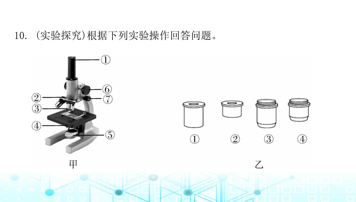 最新人教版七年级上册生物第二单元第1章细胞是生命活动的基本单位第1节练习使用显微镜PPT模板_12