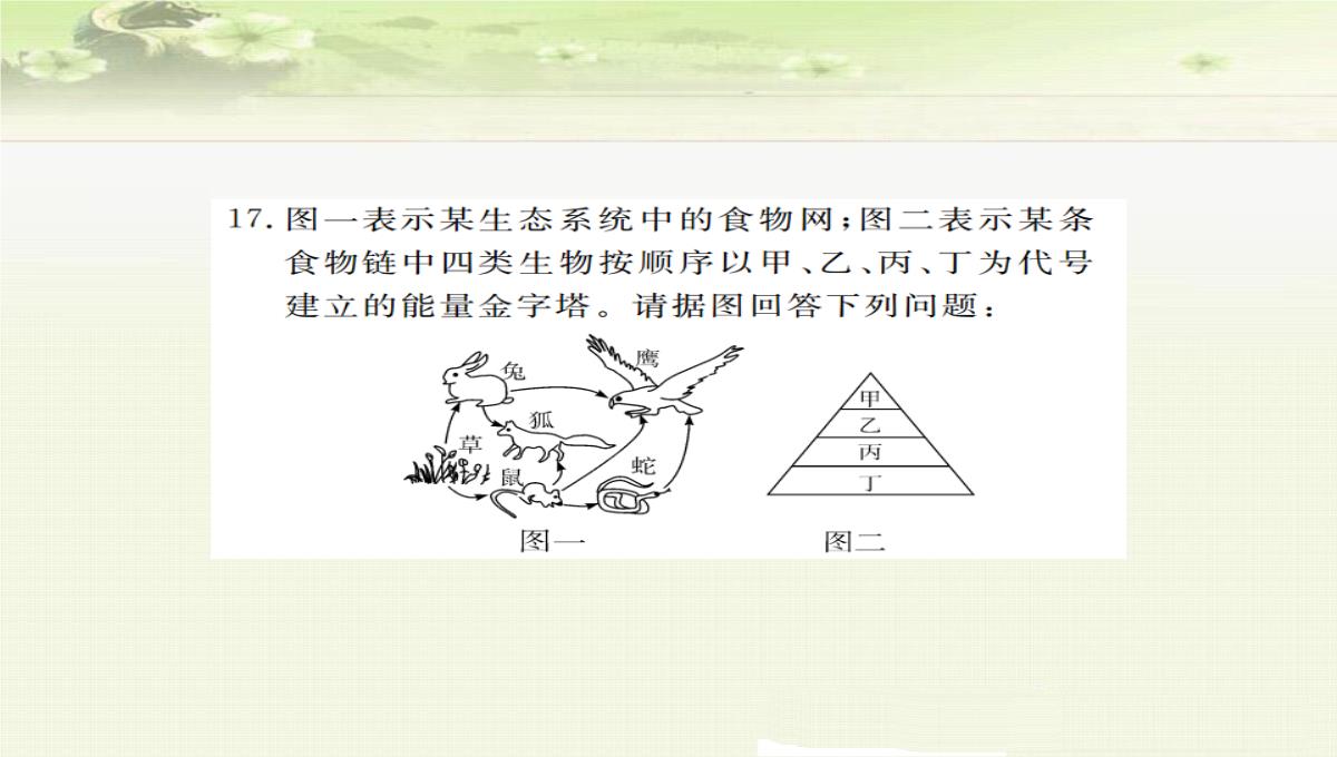 初中生物七上《2.2第二节-生物与环境组成生态系统》优质课件(两套)PPT模板_65