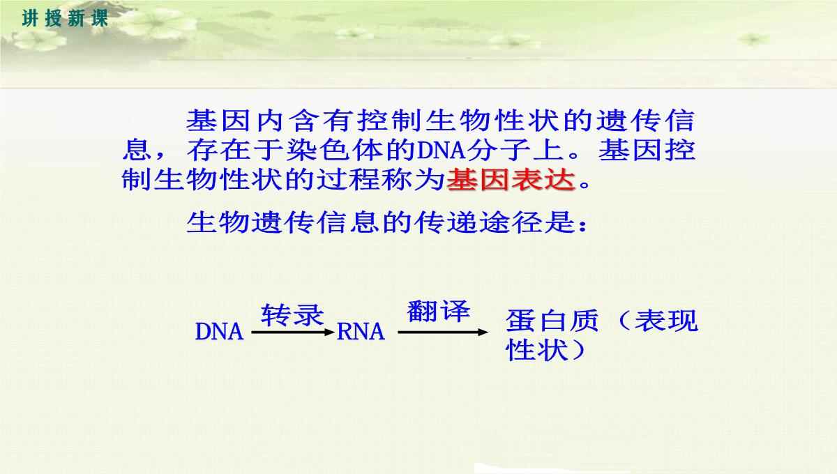 初中生物八年级下册《2.1第一节-基因控制生物的性状》优质课件(两套)PPT模板_16