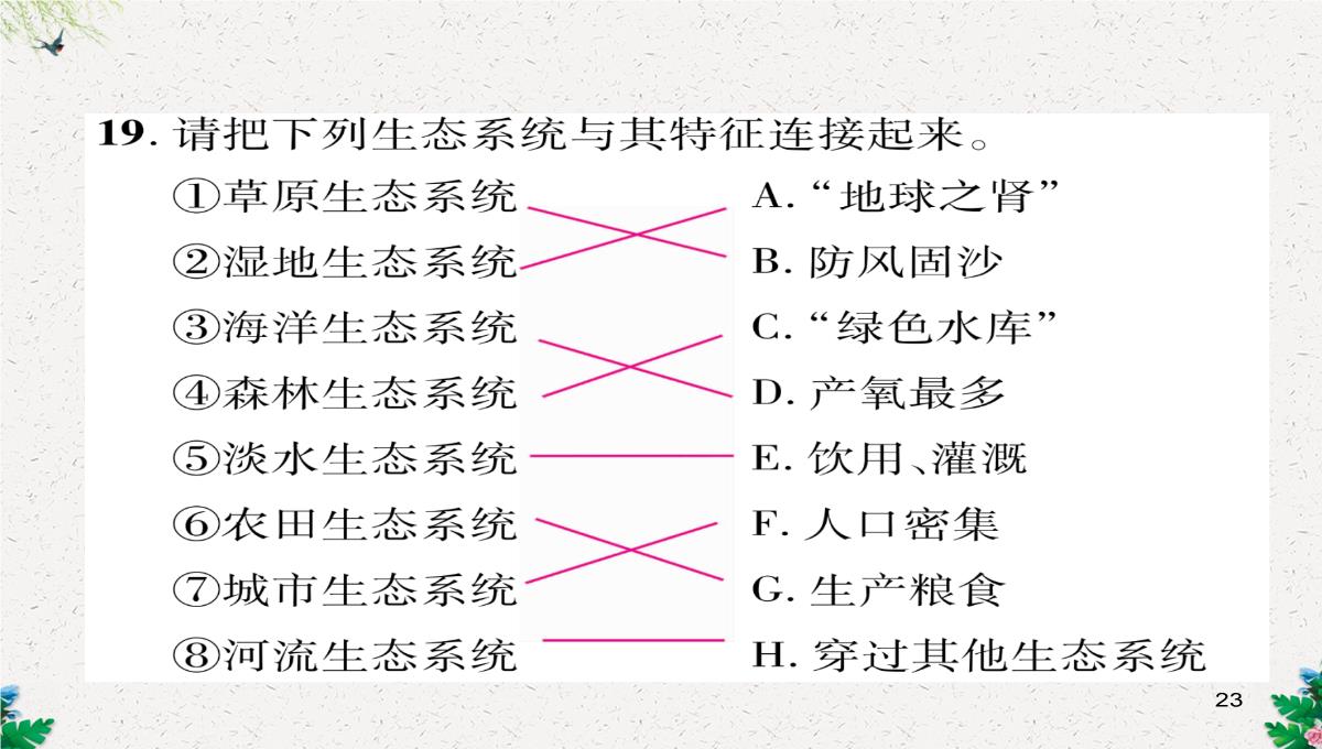 七年级生物上册人教版同步作业课件：1.2.3-生物圈是最大的生态系统PPT模板_23