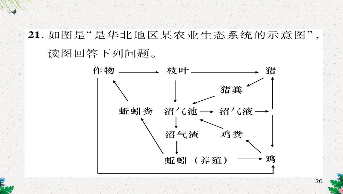 七年级生物上册人教版同步作业课件：1.2.3-生物圈是最大的生态系统PPT模板_26