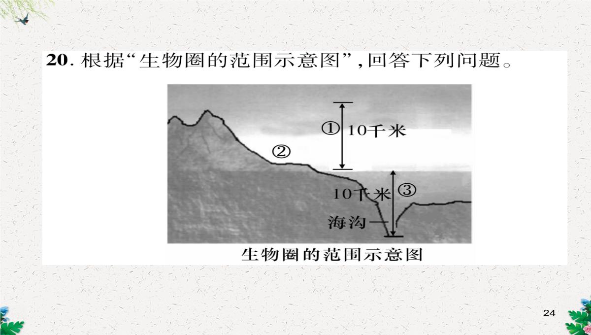 七年级生物上册人教版同步作业课件：1.2.3-生物圈是最大的生态系统PPT模板_24