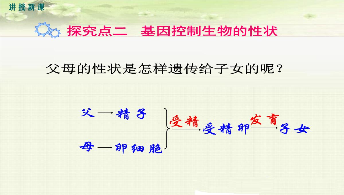 初中生物八年级下册《2.1第一节-基因控制生物的性状》优质课件(两套)PPT模板_10