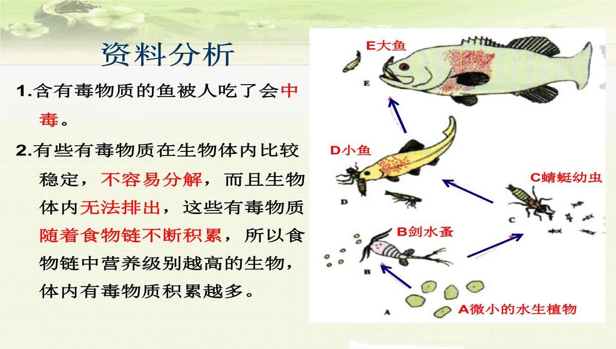 初中生物七上《2.2第二节-生物与环境组成生态系统》优质课件(两套)PPT模板_18