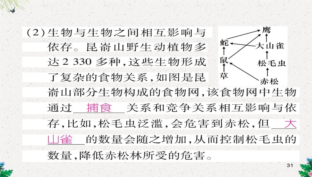 七年级生物上册人教版同步作业课件：1.2.3-生物圈是最大的生态系统PPT模板_31