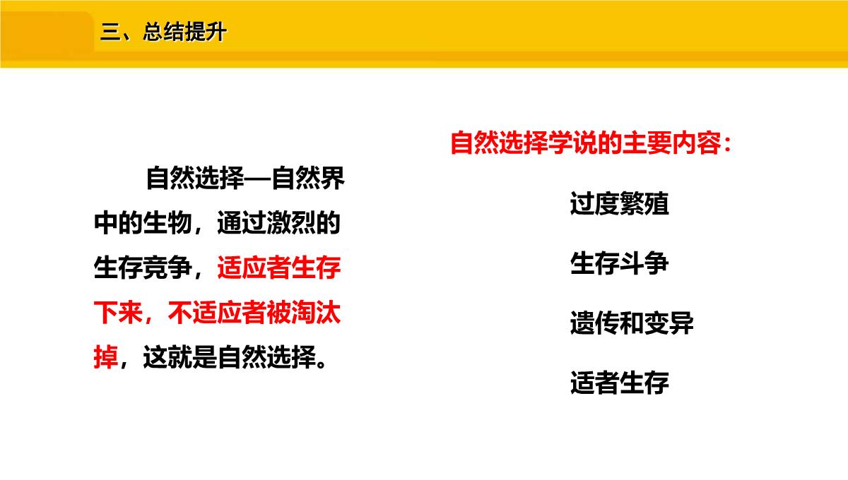 八年级生物下册人教版生物进化的原因PPT模板_19