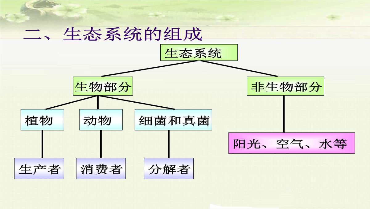 初中生物七上《2.2第二节-生物与环境组成生态系统》优质课件(两套)PPT模板_13