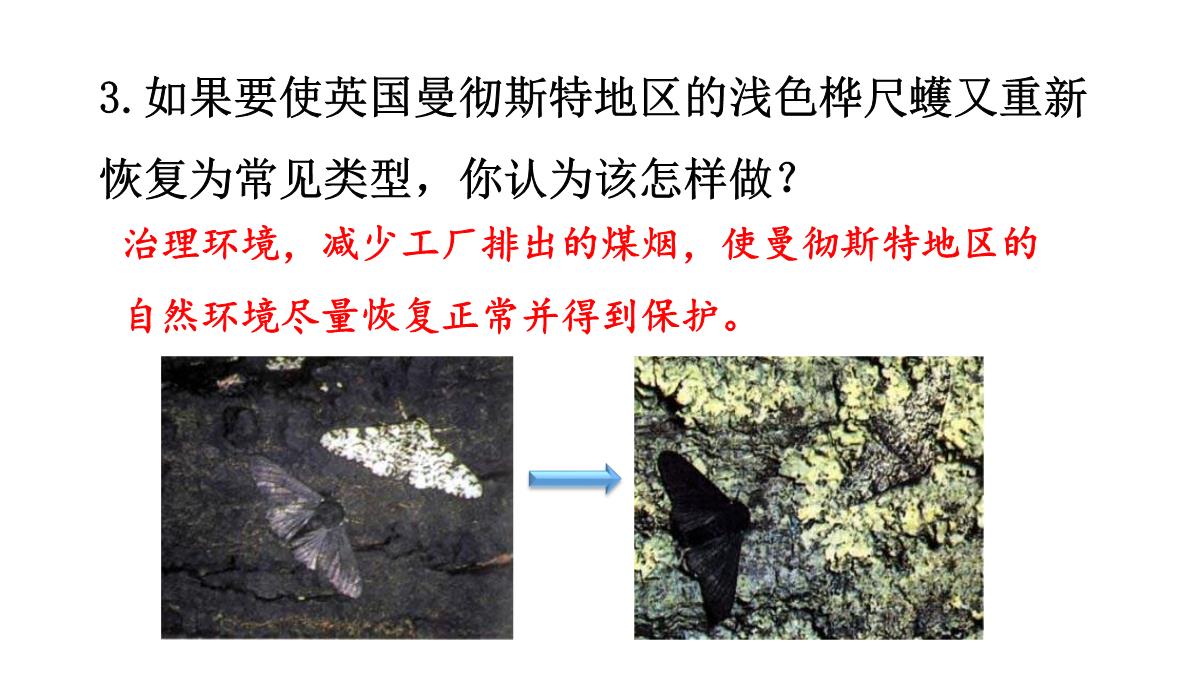 人教版生物八年级下册第三章--生命起源和生物进化第三节-生物进化的原因PPT模板_10