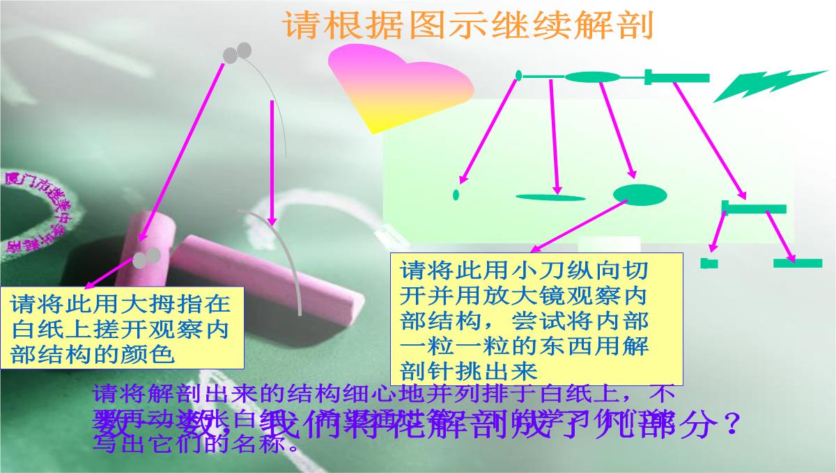 人教版七上第三单元第二章第三节开花和结果(共28张PPT)(002)PPT模板_12