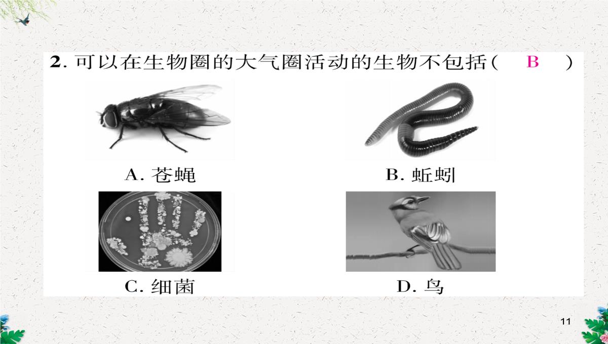 七年级生物上册人教版同步作业课件：1.2.3-生物圈是最大的生态系统PPT模板_11