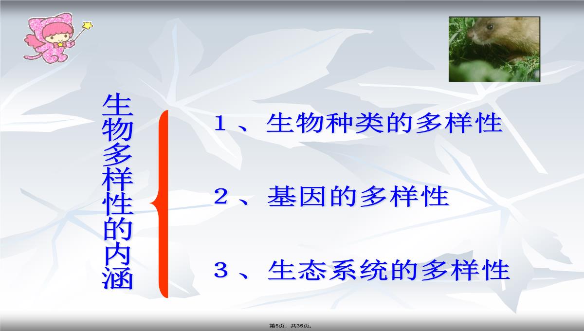 2013年人教版八年级生物上册第六单元第二章《认识生物的多样性》课件PPT模板_05