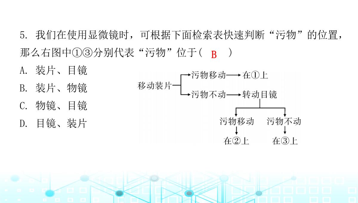 最新人教版七年级上册生物第二单元第1章细胞是生命活动的基本单位第1节练习使用显微镜PPT模板_07