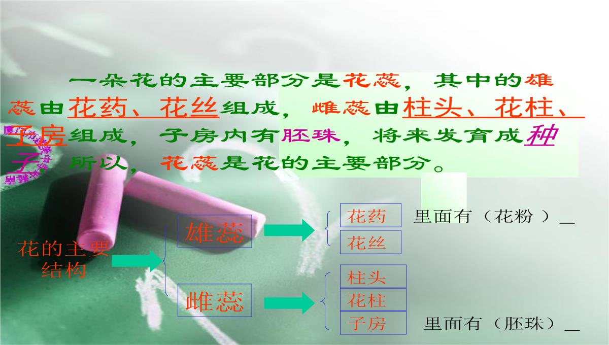 人教版七上第三单元第二章第三节开花和结果(共28张PPT)(002)PPT模板_16