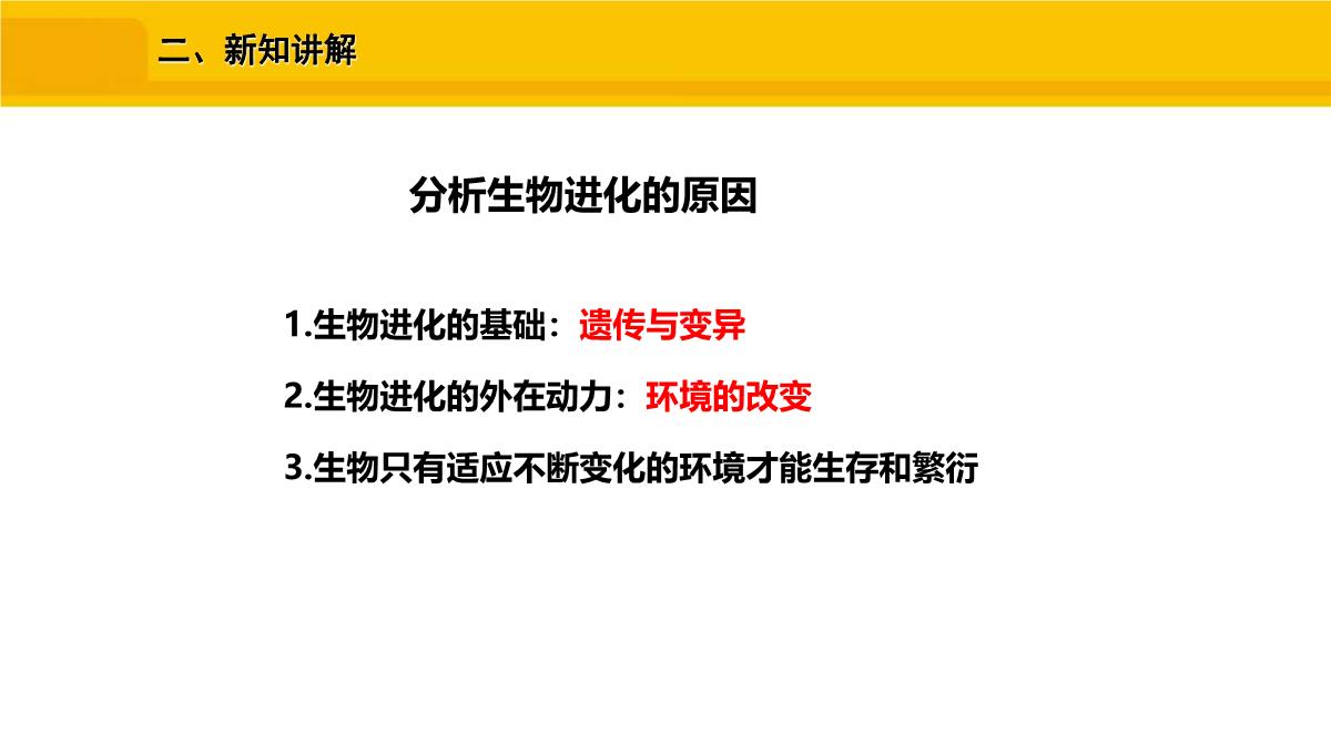 八年级生物下册人教版生物进化的原因PPT模板_07