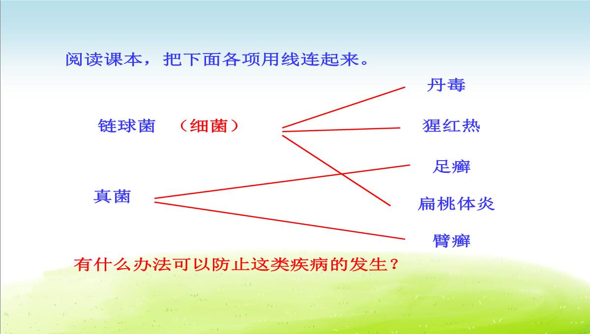 初中生物八下《4.4第四节-细菌和真菌在自然界中的作用》课件(三套)PPT模板_13