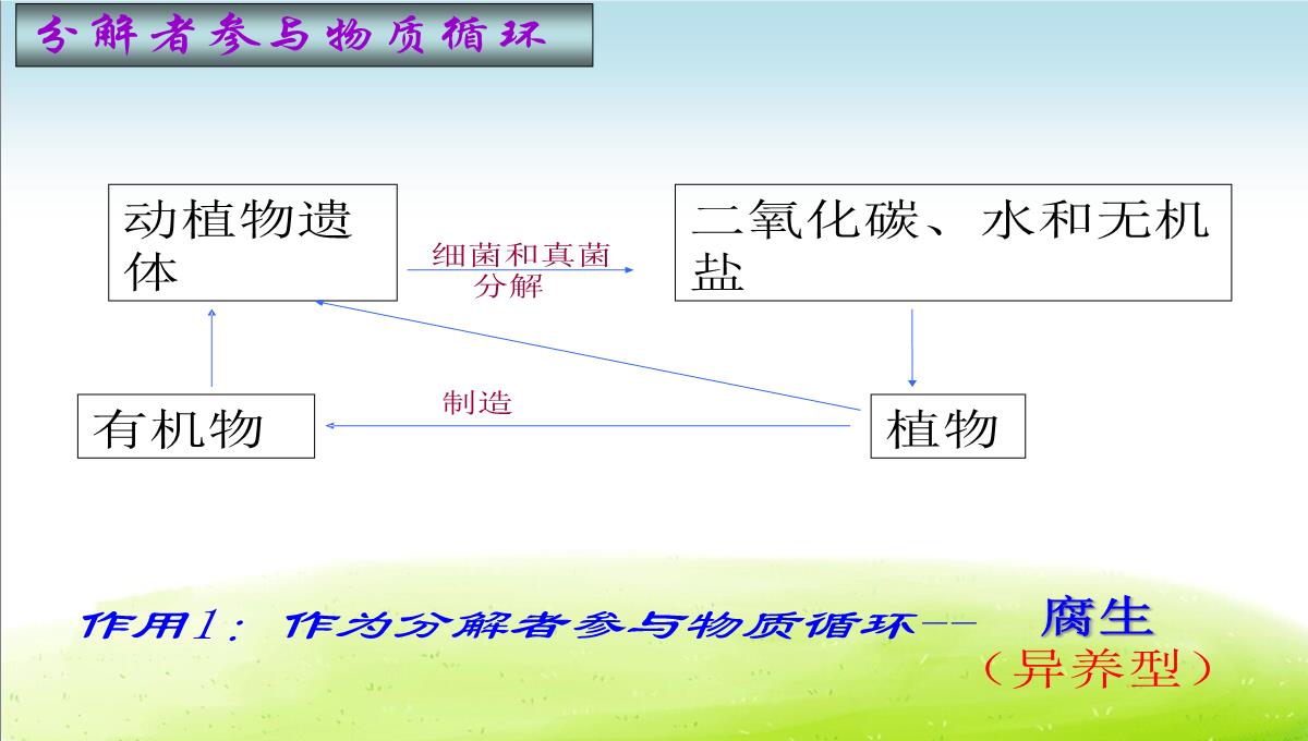 初中生物八下《4.4第四节-细菌和真菌在自然界中的作用》课件(三套)PPT模板_52