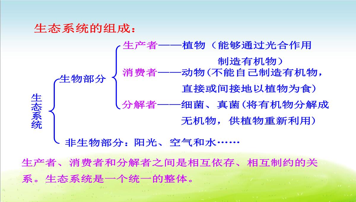 初中生物七上《2.2第二节-生物与环境组成生态系统》优质课件(两套)PPT模板_34