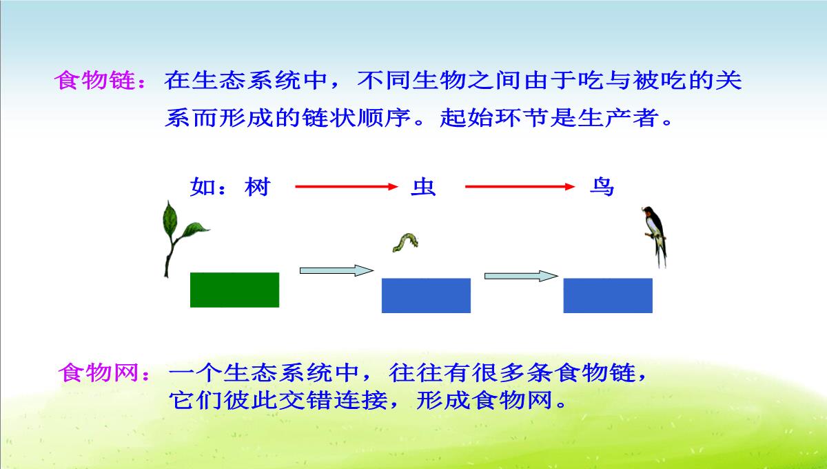 初中生物七上《2.2第二节-生物与环境组成生态系统》优质课件(两套)PPT模板_36