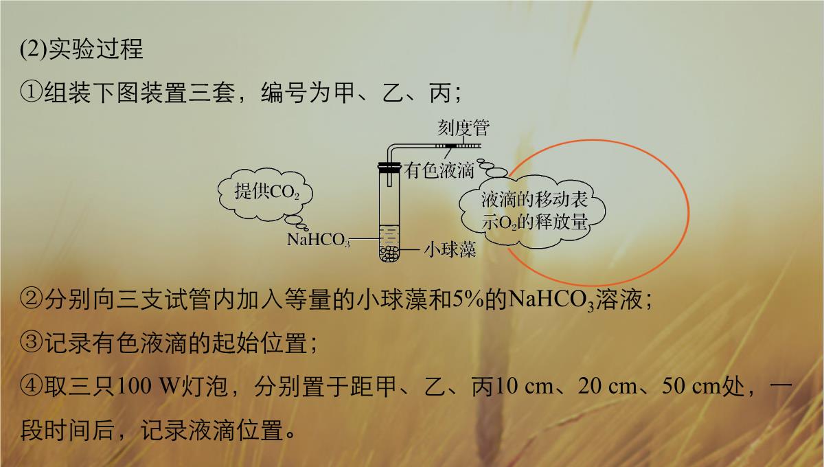 最新-2021版浙江省高考生物课件：第2单元-第10讲-光合作用的影响因素及应用-精品PPT模板_43