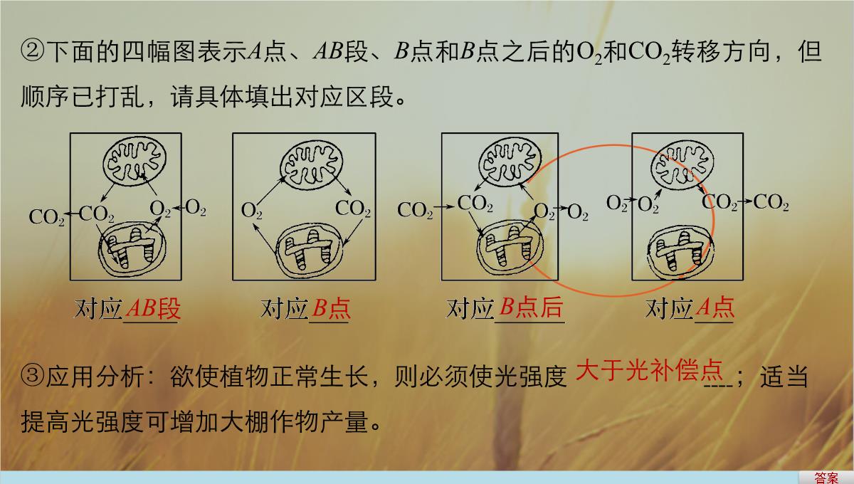 最新-2021版浙江省高考生物课件：第2单元-第10讲-光合作用的影响因素及应用-精品PPT模板_07