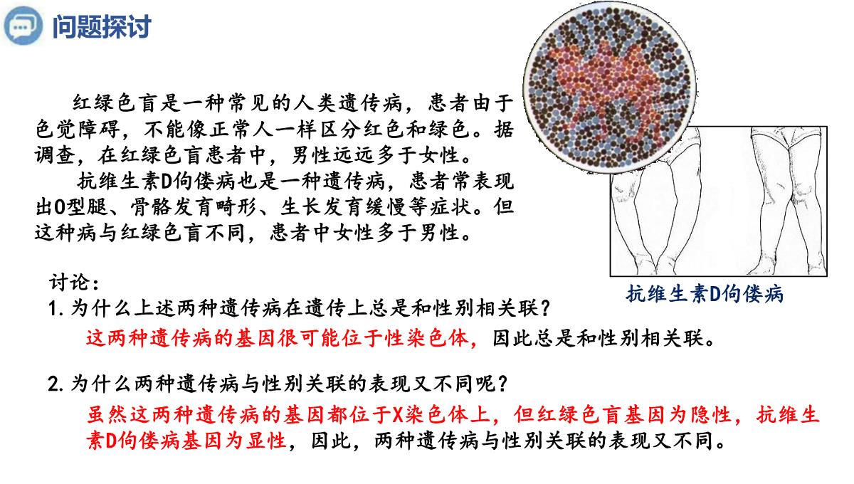 伴性遗传课件高一下学期生物人教版必修2PPT模板_04