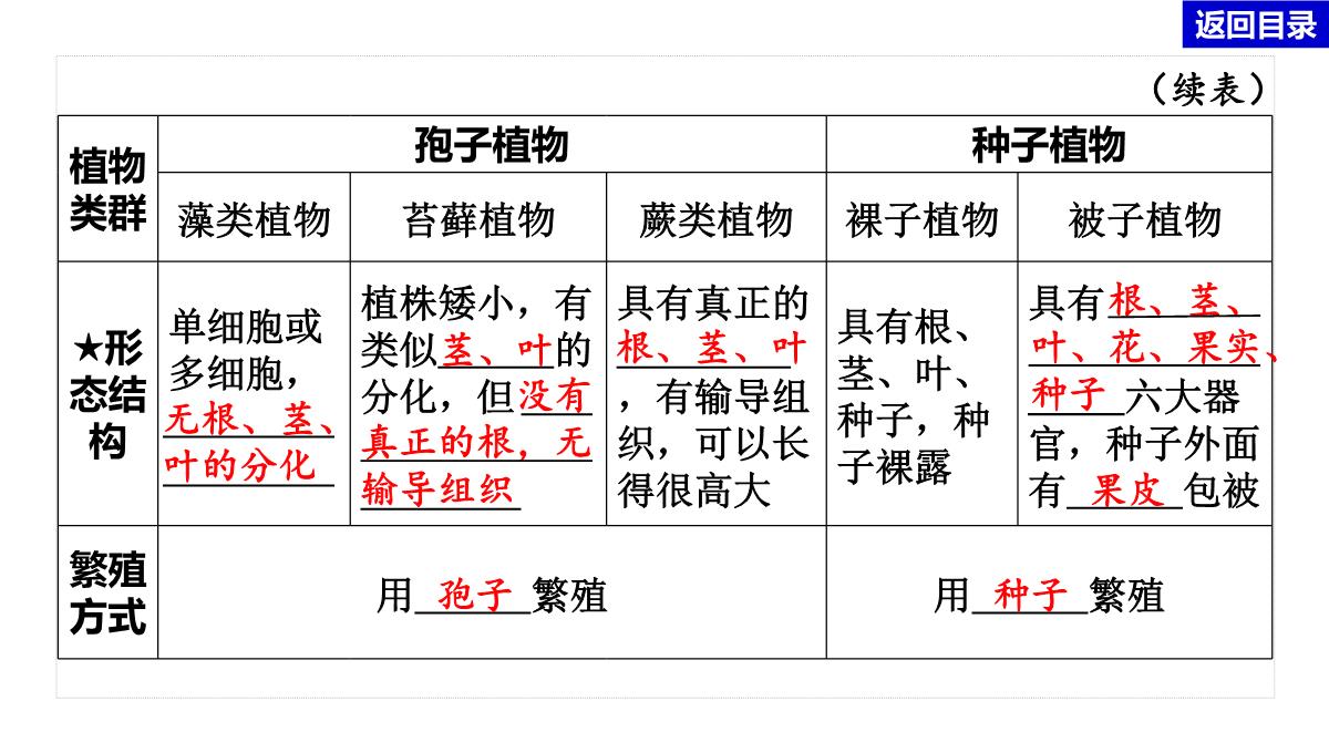 2022年中考生物总复习主题七生物的多样性-专题一生物圈中有哪些绿色植物PPT模板_08