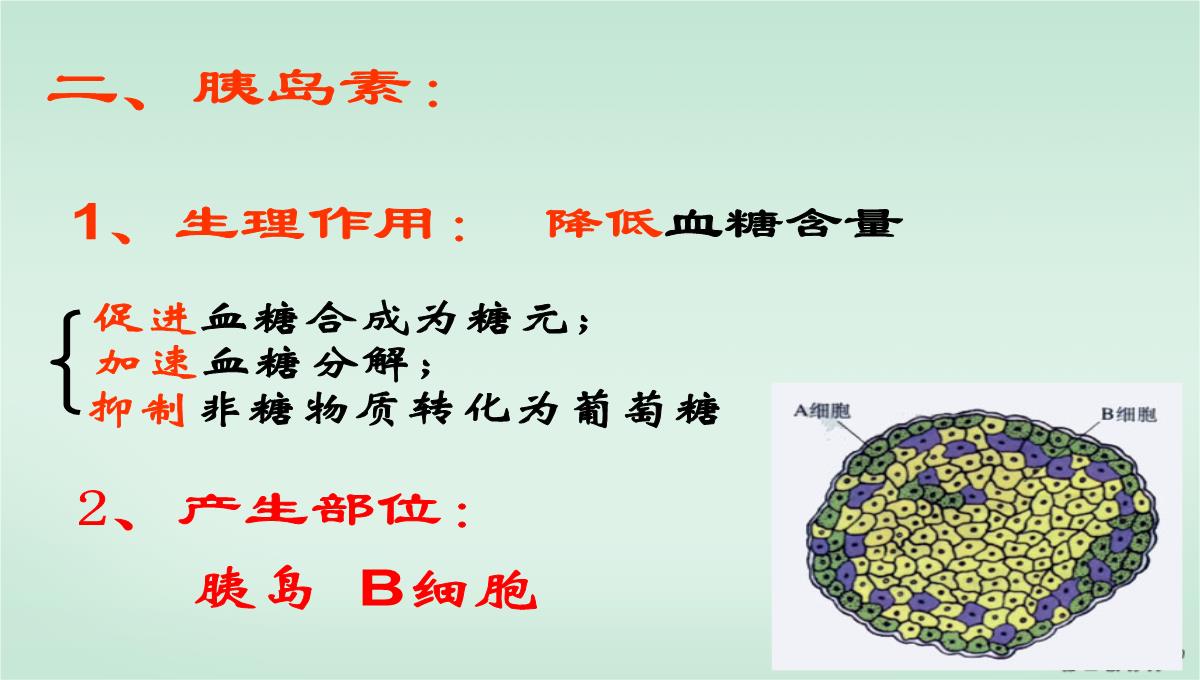 浙江省富阳市教研活动课高二生物动物激素的调节课件-新课标-人教版PPT模板_13