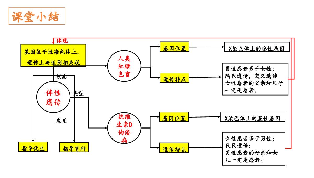 伴性遗传课件高一下学期生物人教版必修2PPT模板_45