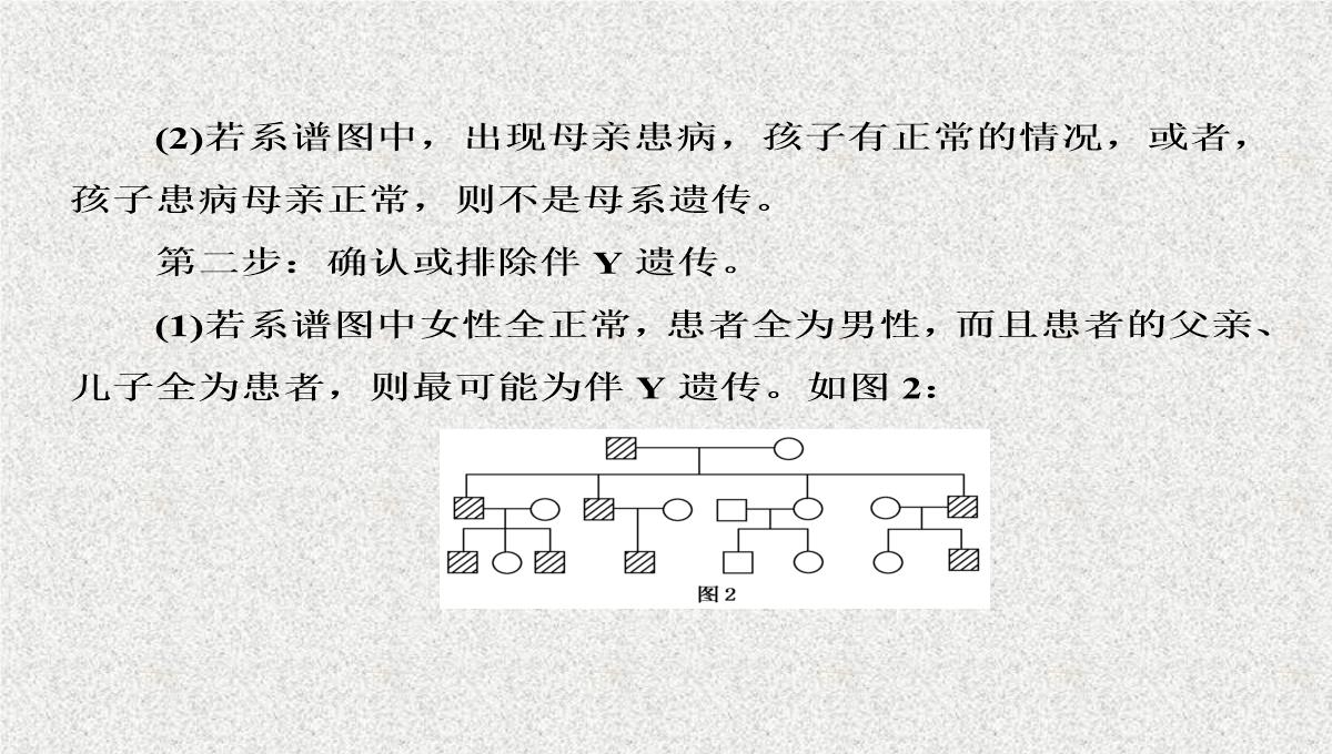 2015届高考生物(人教版通用)总复习教学课件：第17讲-基因在染色体上和伴性遗传PPT模板_29