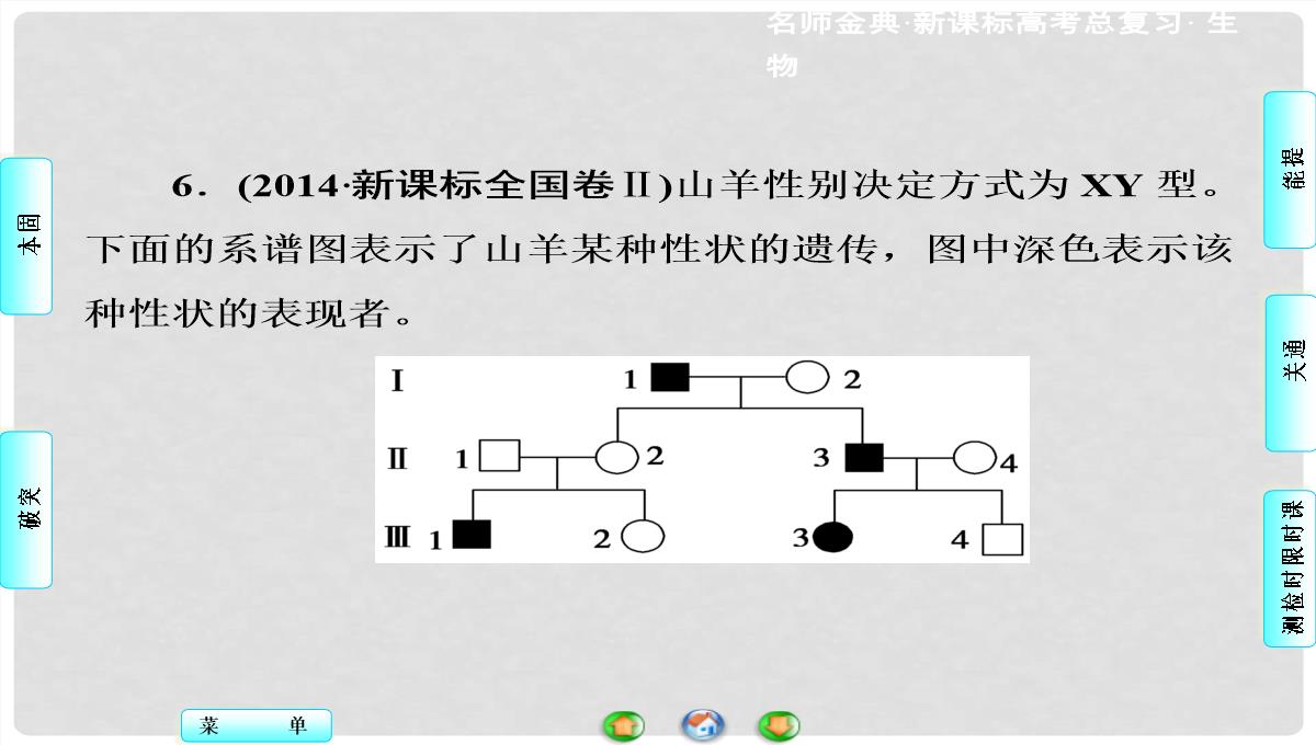 高考生物总复习-第1单元-第3讲-基因在染色体上和伴性遗传课件-新人教版必修2PPT模板_22