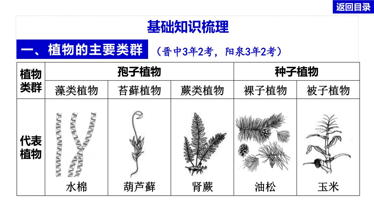 2022年中考生物总复习主题七生物的多样性-专题一生物圈中有哪些绿色植物PPT模板_06