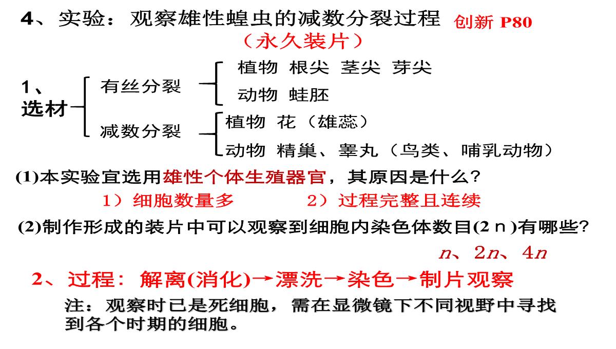 高三一轮复习生物课件：第11讲减数分裂和受精作用PPT模板_26