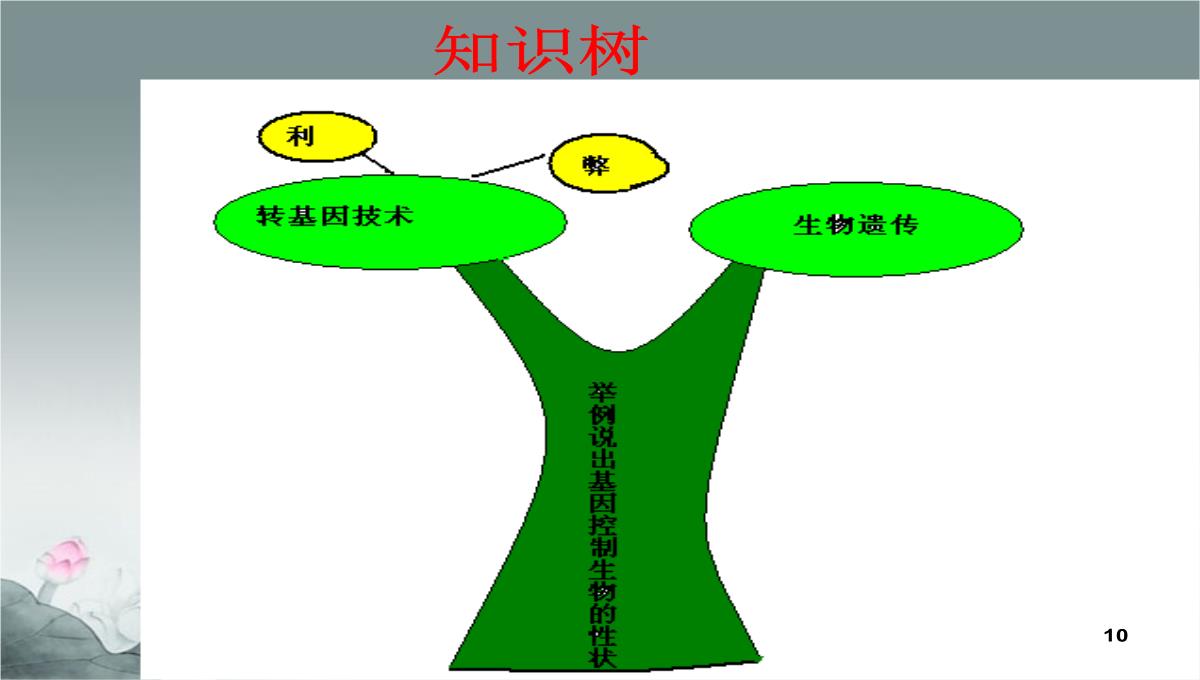 威海市第九中学中考生物-基因控制生物的性状课件PPT模板_10