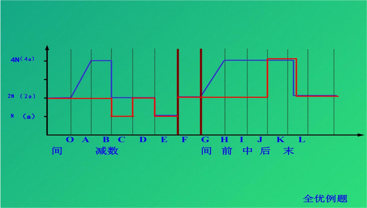 高减数分裂和受精作用(共69张PPT)PPT模板_67