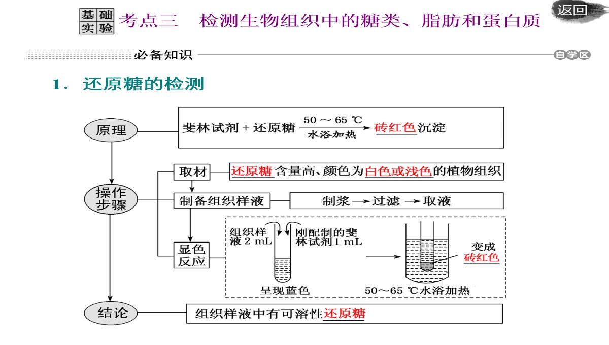 第二讲-组成细胞的元素及无机化合物PPT模板_35