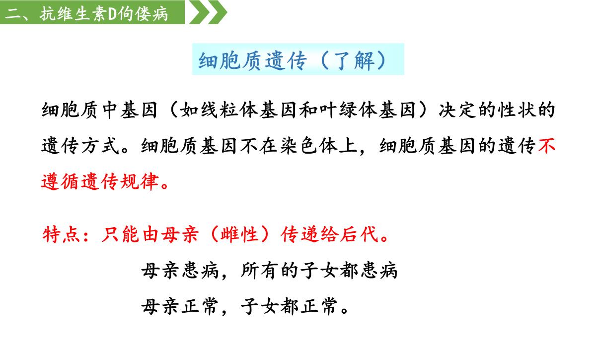 伴性遗传课件高一下学期生物人教版必修2PPT模板_33