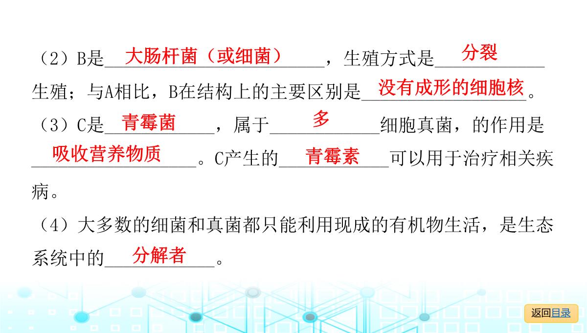 2022年人教版中考生物复习专题七--生物的多样性PPT模板_10