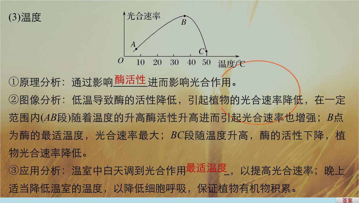 最新-2021版浙江省高考生物课件：第2单元-第10讲-光合作用的影响因素及应用-精品PPT模板_09