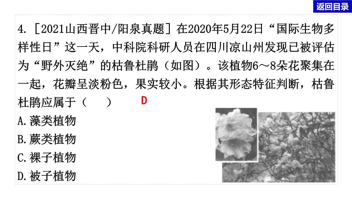 2022年中考生物总复习主题七生物的多样性-专题一生物圈中有哪些绿色植物PPT模板_20