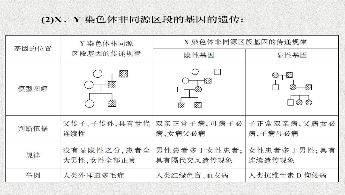 2015届高考生物(人教版通用)总复习教学课件：第17讲-基因在染色体上和伴性遗传PPT模板_22