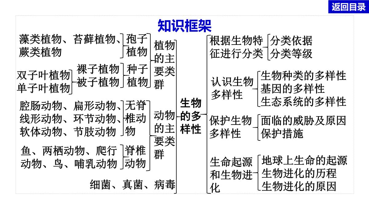 2022年中考生物总复习主题七生物的多样性-专题一生物圈中有哪些绿色植物PPT模板_02