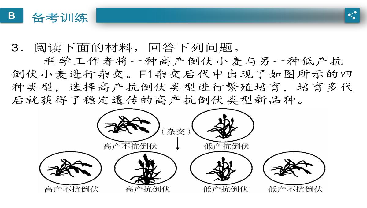 广东中考生物一轮复习课件：第六章-考点12-遗传育种在实践上的应用PPT模板_08