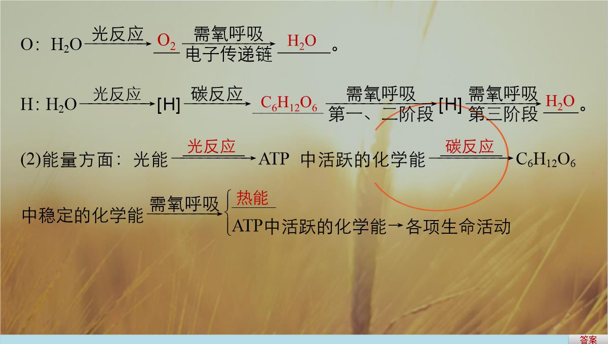 最新-2021版浙江省高考生物课件：第2单元-第10讲-光合作用的影响因素及应用-精品PPT模板_27