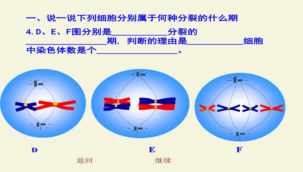 减数分裂和受精作用PPT模板_189