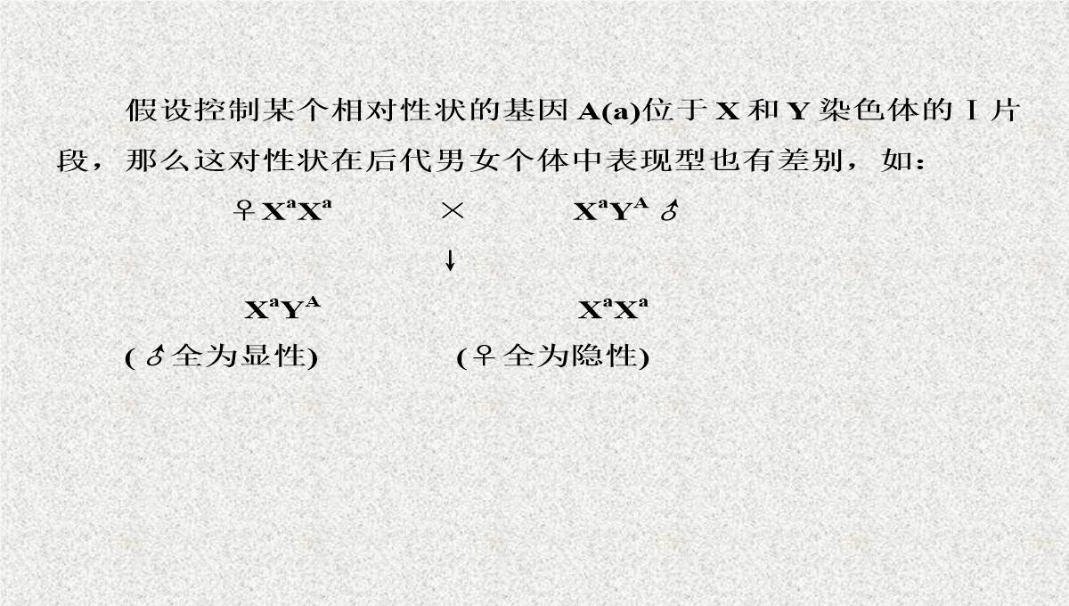 2015届高考生物(人教版通用)总复习教学课件：第17讲-基因在染色体上和伴性遗传PPT模板_21